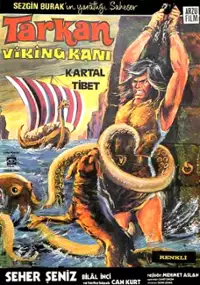 Plakat filmu Tarkan Viking kani
