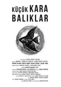 Plakat filmu Küçük kara baliklar