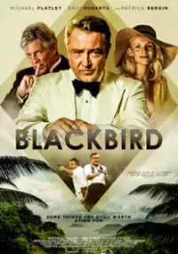 Plakat filmu Blackbird