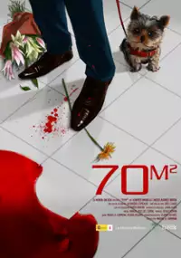 Plakat filmu 70m2