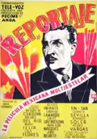 plakat filmu Reportaje