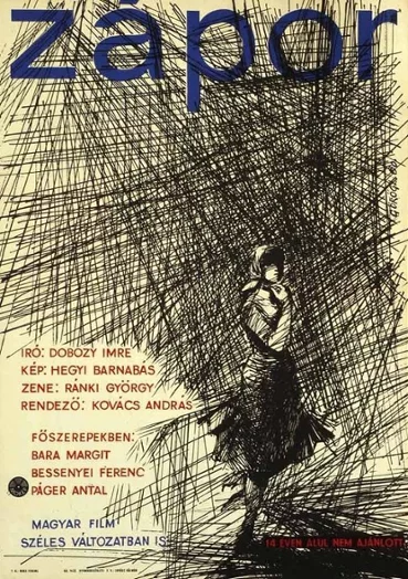 Plakat filmu Zápor