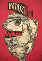 plakat filmu Katastrofa