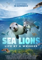 plakat filmu Sea Lions: Life by a Whisker