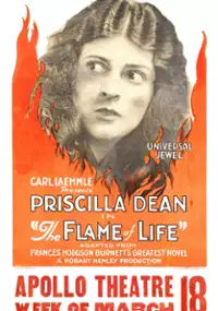 Plakat filmu The Flame of Life