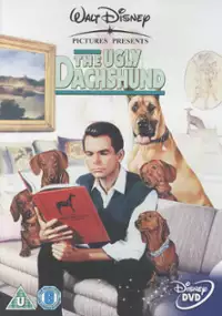 Plakat filmu Brzydki jamnik