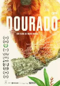 Plakat filmu Dourado