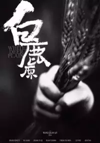Plakat filmu Bai lu yuan
