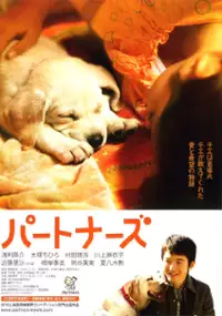 Plakat filmu Partners