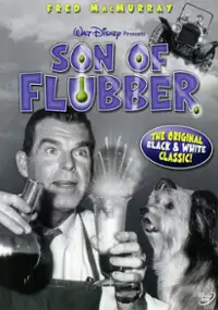 Plakat filmu Flubber - mikstura profesora