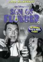 plakat filmu Flubber - mikstura profesora