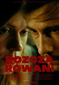 Plakat filmu Rozczarowani