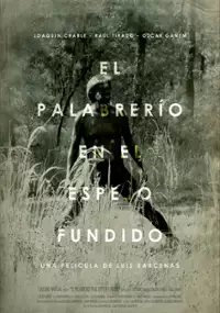 Plakat filmu El palabrerío en el espejo fundido.
