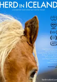 Plakat filmu Herd in Iceland