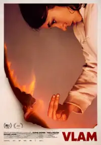 Plakat filmu Vlam