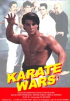 plakat filmu Wojny karate
