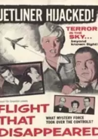 Plakat filmu The Flight That Disappeared