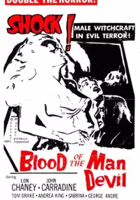 Plakat filmu House of the Black Death