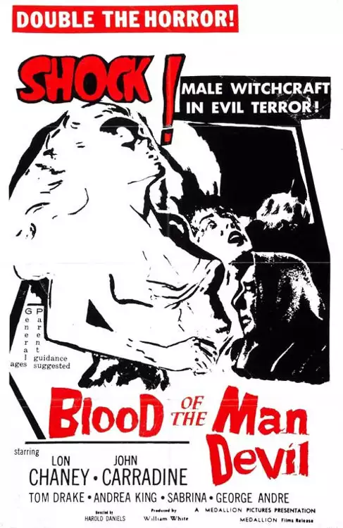plakat filmu House of the Black Death