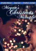 plakat filmu Megan's Christmas Miracle