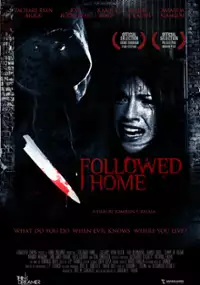 Plakat filmu Followed Home