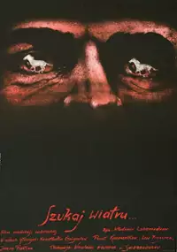 Plakat filmu Szukaj wiatru...