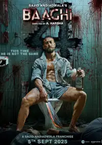 Plakat filmu Baaghi 4