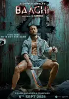 plakat filmu Baaghi 4