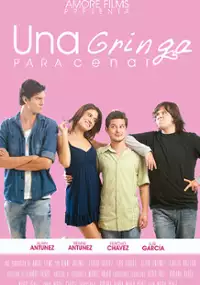 Plakat filmu Una gringa para cenar