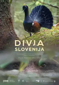 Plakat filmu Dzika Słowenia