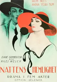 Plakat filmu Remorseless Love