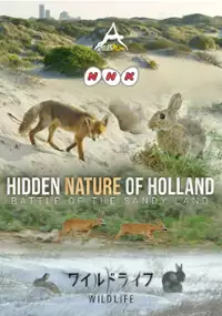 Plakat filmu Hidden Nature of Holland - Fox and Rabbit: Battle of the Sandy Land