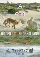 plakat filmu Hidden Nature of Holland - Fox and Rabbit: Battle of the Sandy Land