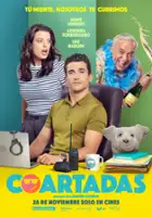 plakat filmu Coartadas
