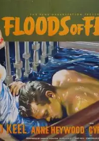 Plakat filmu Floods of Fear