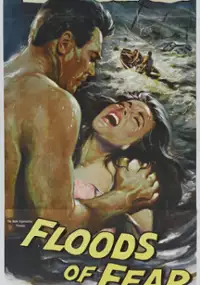 Plakat filmu Floods of Fear