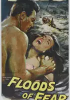 plakat filmu Floods of Fear