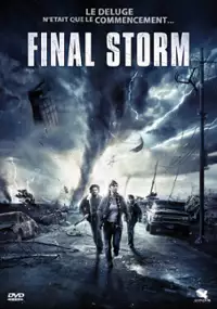 Plakat filmu The Final Storm