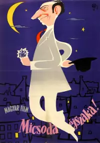Plakat filmu Micsoda &eacute;jszaka!