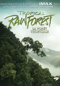 Plakat filmu Lasy tropikalne