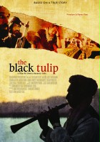 plakat filmu The Black Tulip