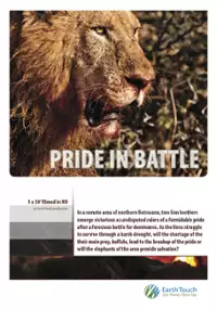Plakat filmu Pride in Battle