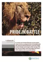 Brennan Nurthen / Pride in Battle