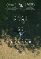 plakat filmu Name Me Lawand