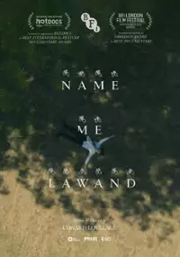 Plakat filmu Name Me Lawand