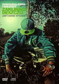 Plakat filmu Zaklinacz deszczu