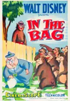 plakat filmu In the Bag