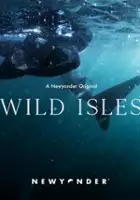 Julie Wild / Wild Isles