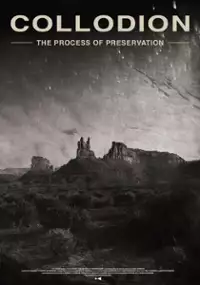 Plakat filmu Collodion: The Process of Preservation