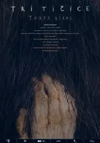 Plakat filmu Trzy ptaki